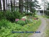 driveway flowerbed